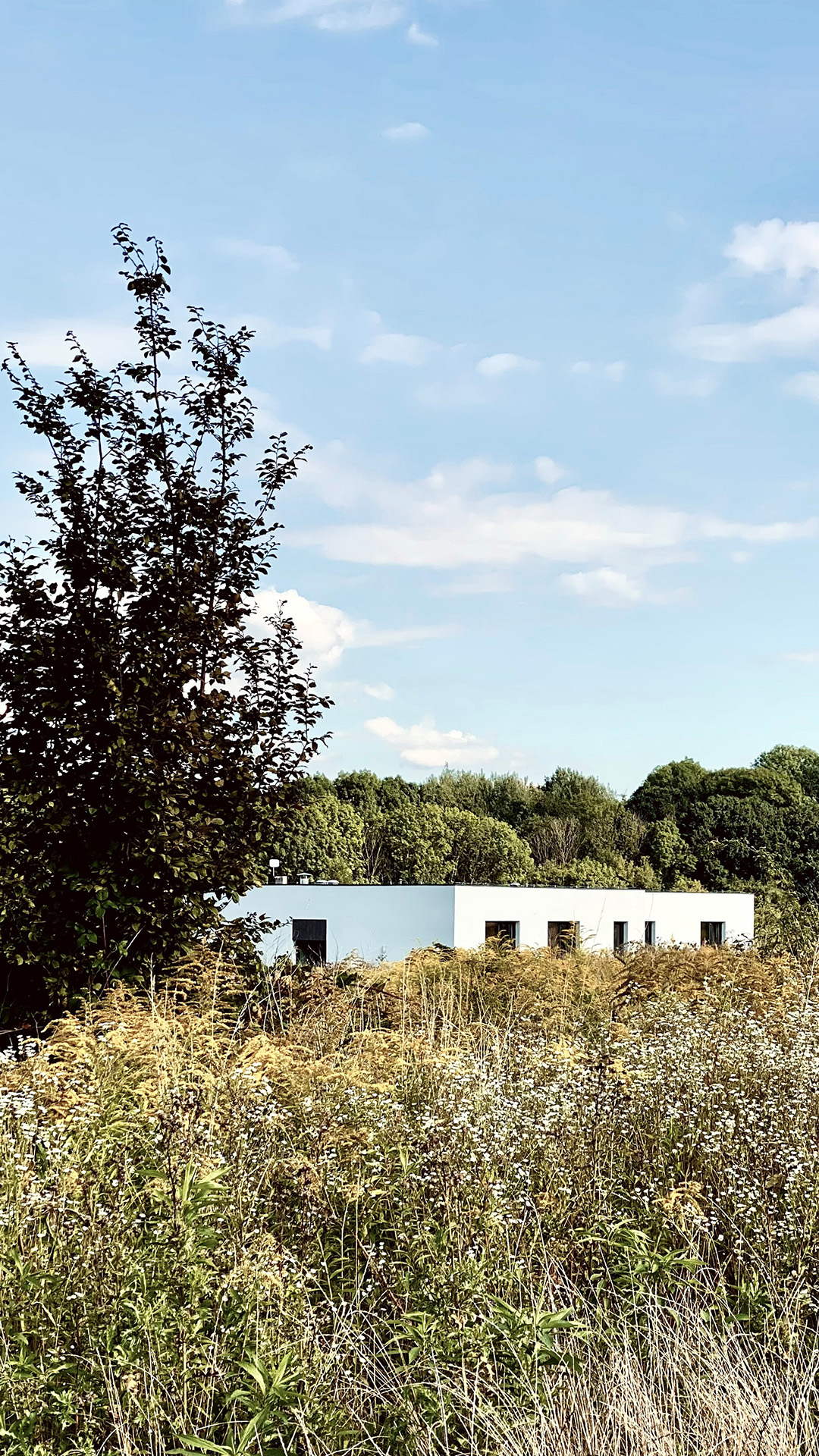 Strona główna - wersja mobilna_2